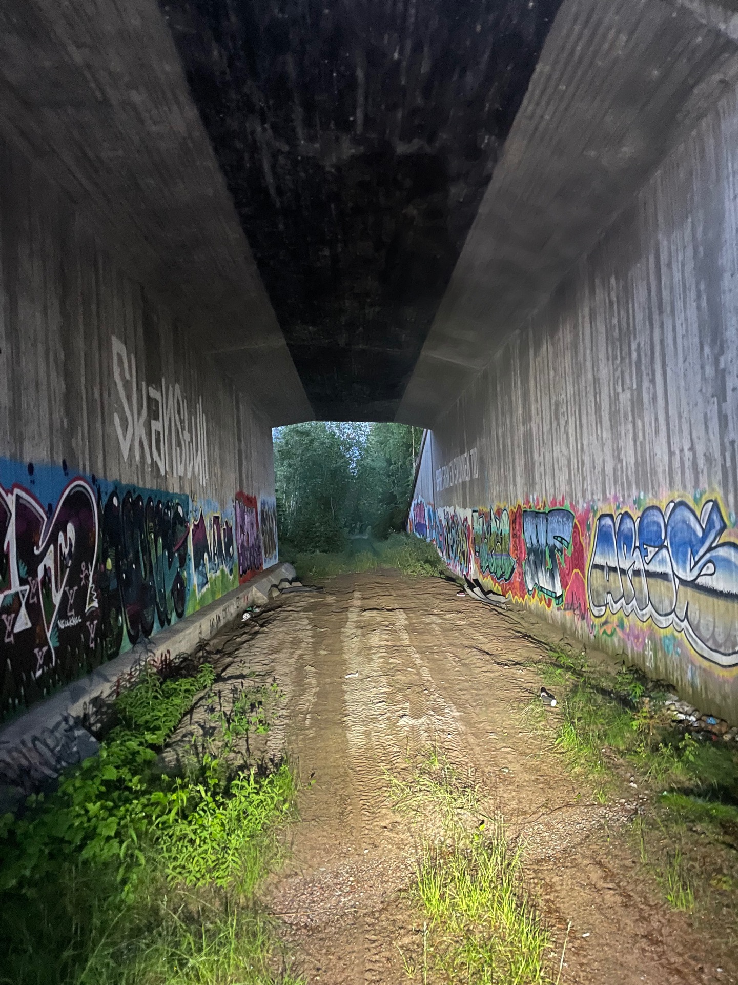 surrealistisk känsla att cykla här mitt i natten, mitt skogen